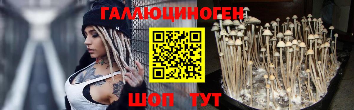 Галлюциногенные грибы GOLDEN TEACHER Богданович
